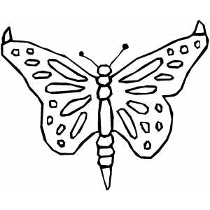 Butterfly Bug Coloring Page
