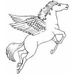 Flying Pegasus