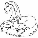 pinto horse coloring pages