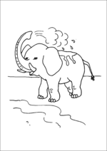 Elephant Spraying Water