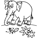 Elephant and Bug