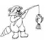 Racoon Fishing