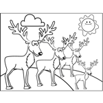 Reindeer